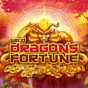 Wild Dragon's Fortune